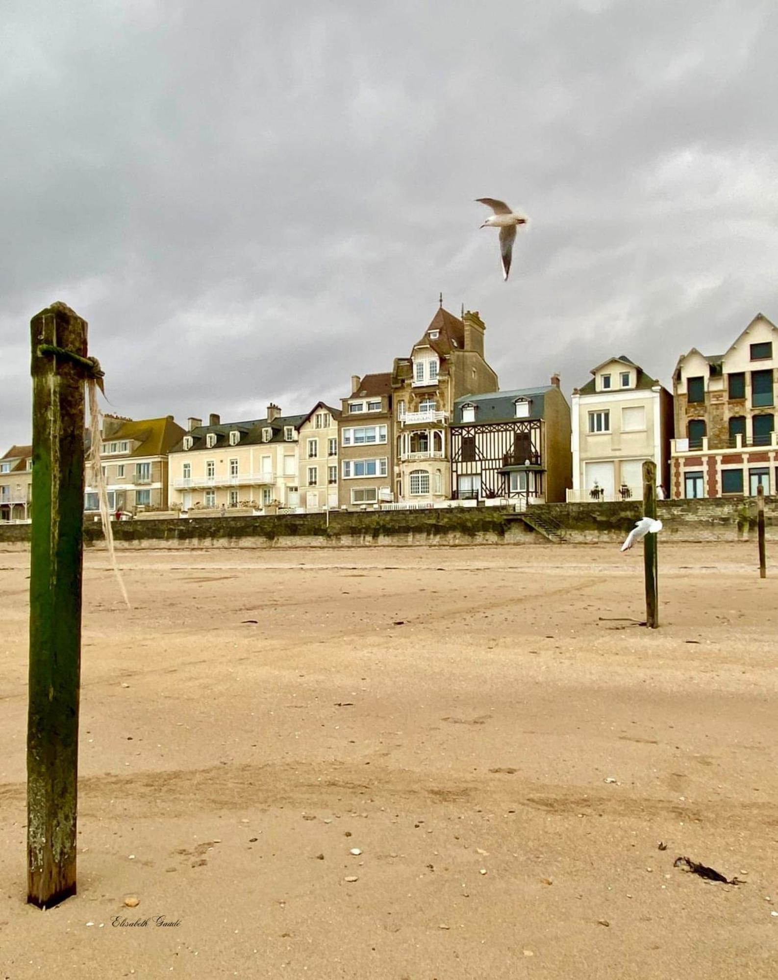 Saint-Aubin-Sur-Mer: Bel Appartement Traversant Ngoại thất bức ảnh